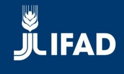 IFAD