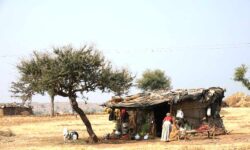 Urgent-funding-needed-to-assist-millions-of-people-affected-by-conflict-in-Sudan-and-other-countries