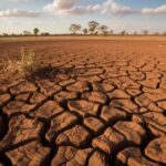 Zimbabwe's food security ambitions in the crosshairs of El Niño