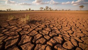 Zimbabwe's food security ambitions in the crosshairs of El Niño